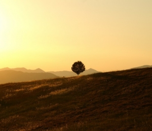 10 Best Places To Visit In Karnataka In June