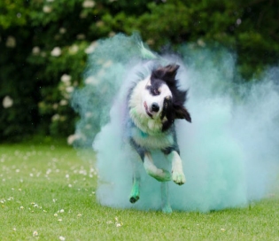 Holi Weekend : Places To Visit To Escape The Holi Madness