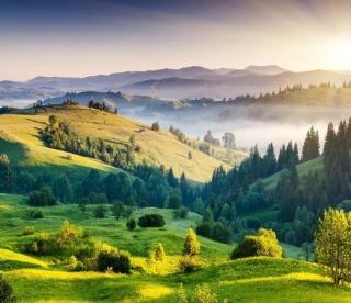 10 Splendid Places To Visit In south India in February