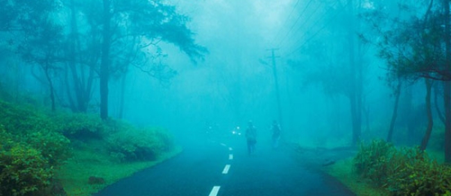 Head To The Hill Stations In The Eastern Ghats And Experience Ecstasy!