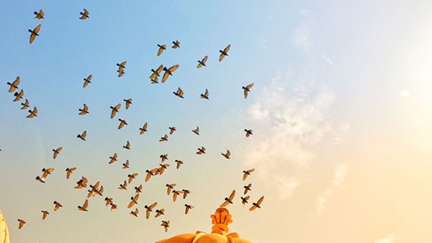 Here's Our Guide To The Must-visit Places Of Jaipur