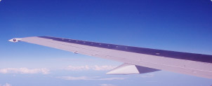 Flight Search