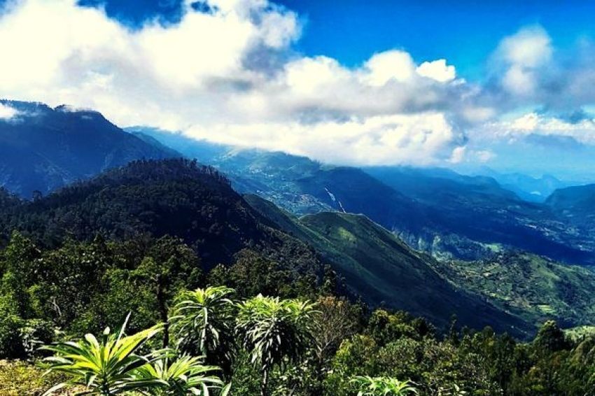 Know the Specialty of Kodaikanal That Attracts Honeymooners and Couples