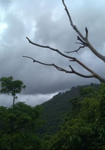 तेनमाला