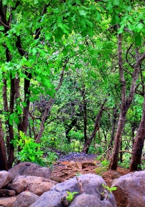 ಕರ್ನಾಲಾ