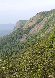 Agumbe