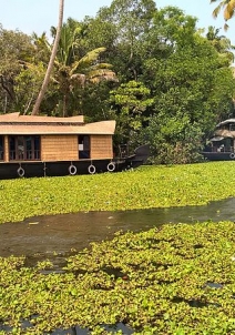 Alleppey