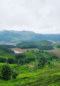 கோத்தகிரி