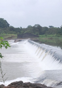 വല്‍സാദ്