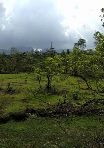 Igatpuri