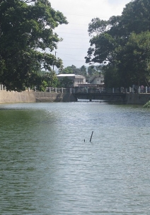 ഹഫ്‌ളോങ്‌