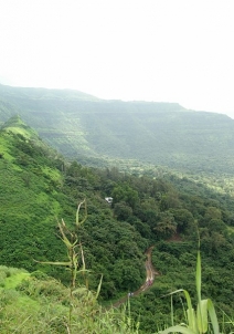 കാംശേത്