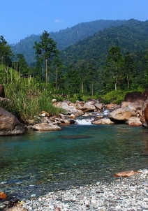 ಝಲ್ಲಾಂಗ್