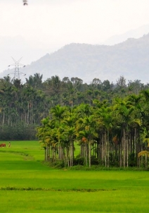 சுல்தான் பத்தேரி