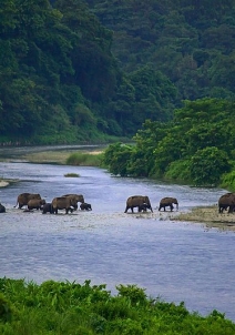 ചല്‍സ