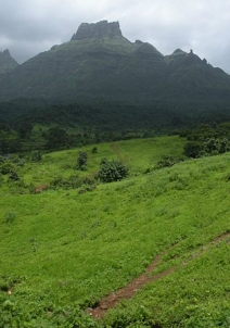 ചന്ദേരി