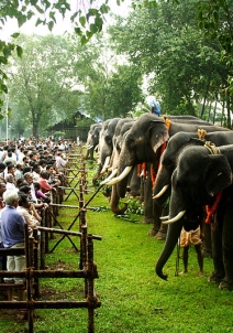 ತ್ರಿಶ್ಶುರ್