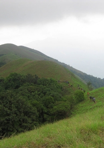 Nuggehalli Hassan Nuggehalli Photos, Sightseeing
