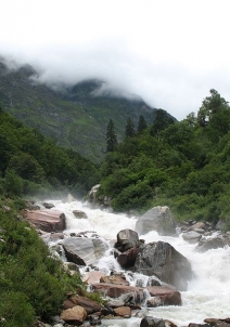 மோரி