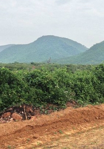 Places to Visit in Dhenkanal Tourist Places in Dhenkanal, Dhenkanal