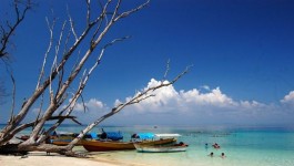 அந்தமான் நிகோபார் தீவுகள்