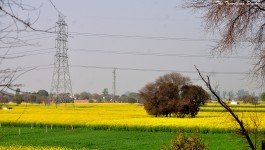 ஜஜ்ஜார்