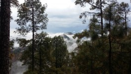 சலோக்ரா