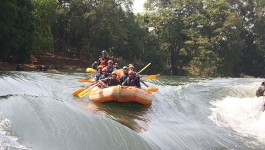 ദാണ്‌ഡേലി