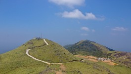 பொன்முடி