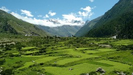 കിന്നൌര്‍