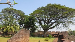 ತಲಸ್ಸೆರಿ