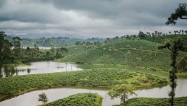 വാല്‍പ്പാറൈ