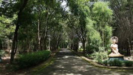 നിലമ്പൂര്‍