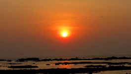 അലിബാഗ്