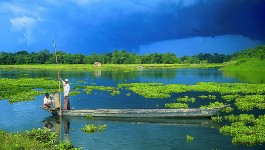 മജുലി