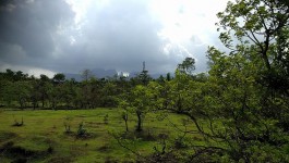 ಇಗತ್ಪುರಿ