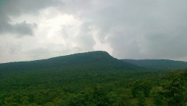 ಬೇತುಲ್