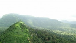 ಕಮ್‍ಶೆಟ್