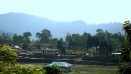 సాంసింగ్