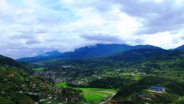 सेनापति