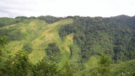 ట్యూన్సంగ్