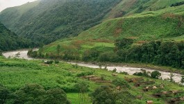 ರೋಯಿಂಗ್