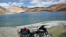 Pangong