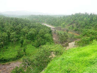 Vansda National Park - Saputara | Vansda National Park Photos, Sightseeing