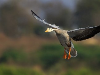 à¤®à¤à¤¦ à¤ªà¤ à¤· à¤à¤­à¤¯ à¤°à¤£ à¤¯ gadag à¤®à¤à¤¦ à¤ªà¤ à¤· à¤à¤­à¤¯ à¤°à¤£ à¤¯ photos sightseeing nativeplanet hindi à¤®à¤à¤¦ à¤ªà¤ à¤· à¤à¤­à¤¯ à¤°à¤£ à¤¯ gadag à¤®à¤à¤¦ à¤ªà¤ à¤· à¤à¤­à¤¯ à¤°à¤£ à¤¯ photos sightseeing nativeplanet hindi