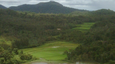 ஹொன்னம்மன கேரே