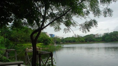 లోటస్ సరస్సు