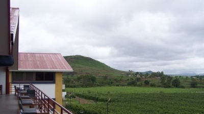 Sula Vineyards