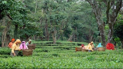 పాలంపూర్