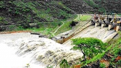 పండో డామ్